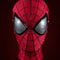 AMAZING SPIDEY-MASK